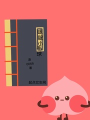 小毛球写的小说苏眠棠