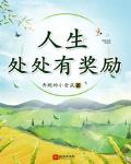 人生处处有奖励小说系统