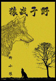 狼战于野小说全本免费阅读