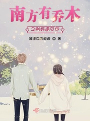 南方有乔木经典台词