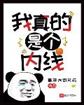我真的是个内线最新