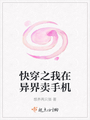 一本关于两只猫的小说