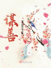 我只是心善免费阅读小说