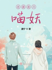 老婆是只喵免费阅读