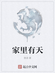 家里有天然气可以装暖气片吗