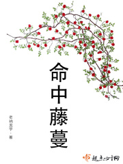 命中gl全文免费阅读