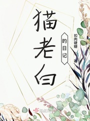 【老猫小说app】