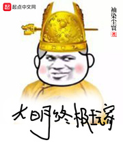 大明终极玩家小说免费阅读