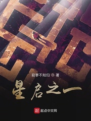 不知寂寞是什么歌曲