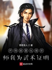 武功练到化境是什么级别