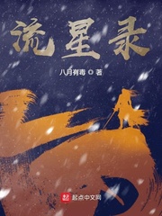 流星江湖录
