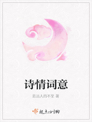 诗情歌意小说