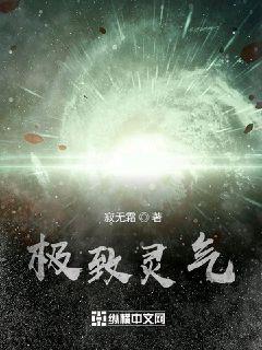 极致灵气小说在线阅读无弹窗