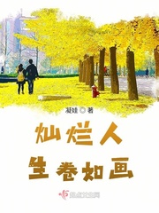 灿烂人生什么意思