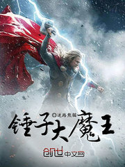 大锤子是什么游戏