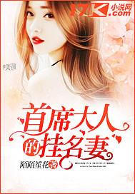 首席大人的挂名妻免费阅读