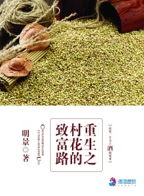 重生打造致富村的小说