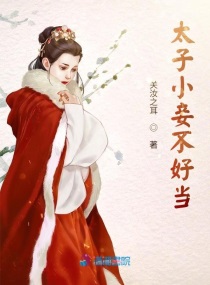 太子小妾不好当大结局