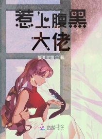 惹上腹黑大佬小说全文免费阅读笔趣阁