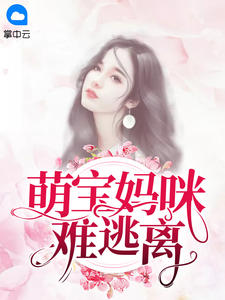 苏浅安叶昱城免费阅读