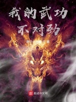 我的武功不对劲小说免费阅读下载