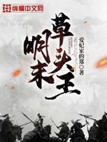 明末草头王百度百科