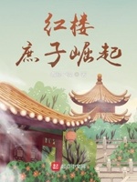 红楼:庶子崛起 小说