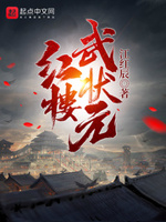 红楼武状元txt下载