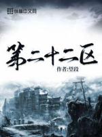 二十二划骨小说免费