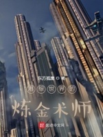 港综世界的炼金术师 小说