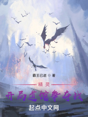 精灵开局成为道馆学徒小说