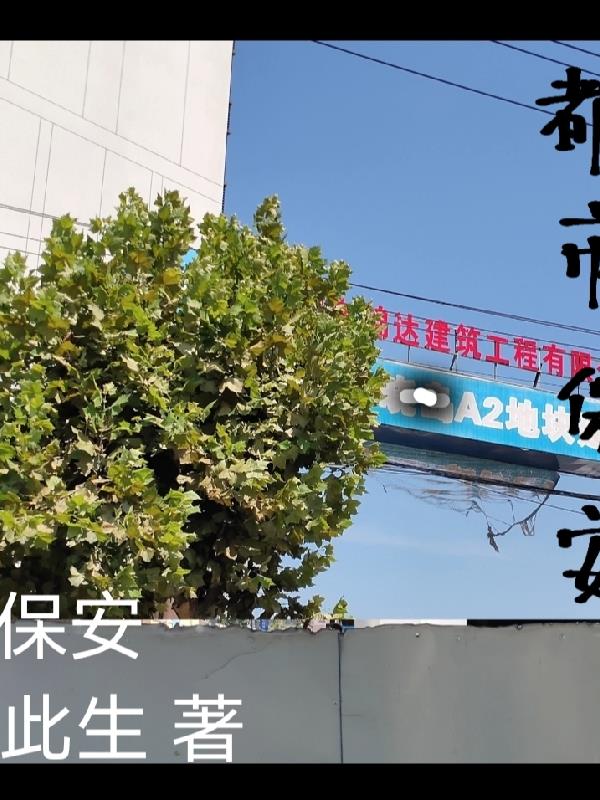 修真保安在都市 小说