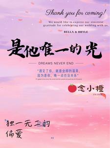 你是我的唯一的小说