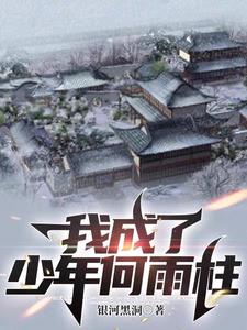我成了少年何雨柱小说免费观看