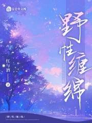 野性浪漫小说下载