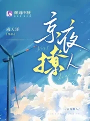 京夜撩人沈易琛