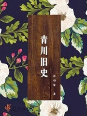青川旧史大概讲什么