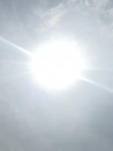 谢家骄子的新书小说免费阅读无弹窗