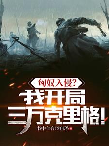 匈奴兵大举入侵