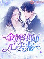 金牌律师分集介绍